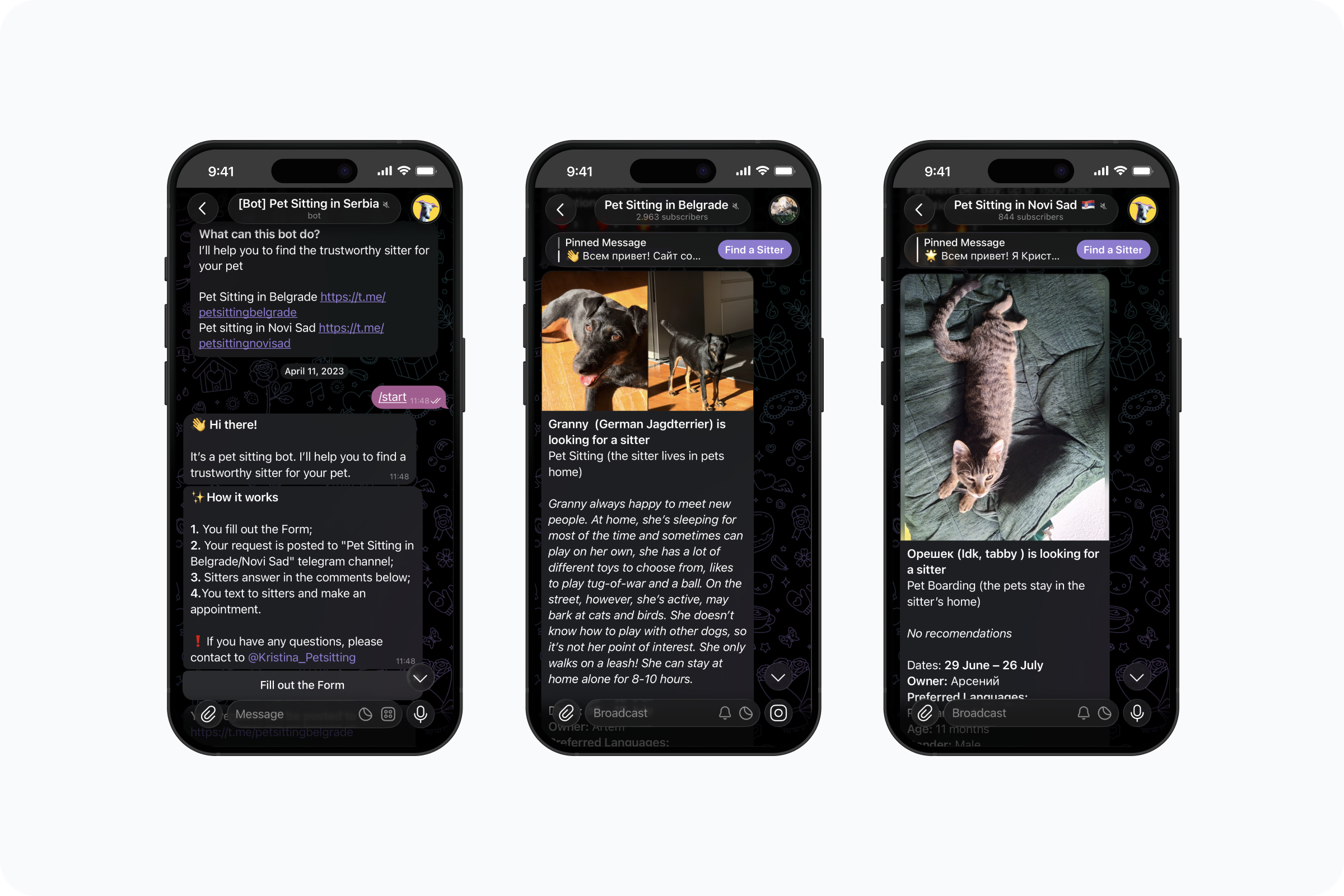 Telegram channels — Belgrade and Novi Sad