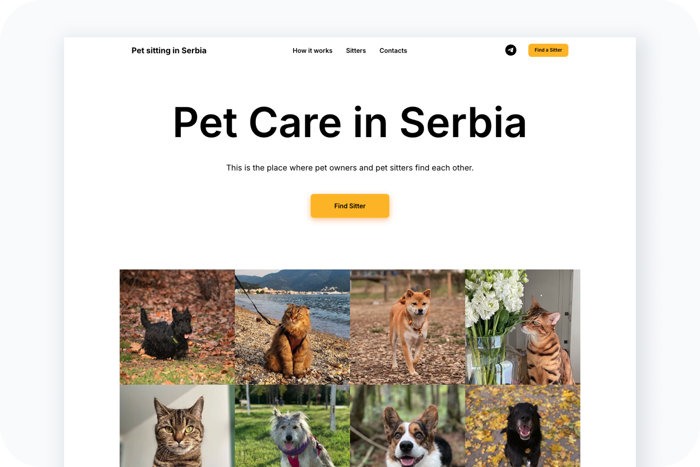 Pet Sitting in Serbia website